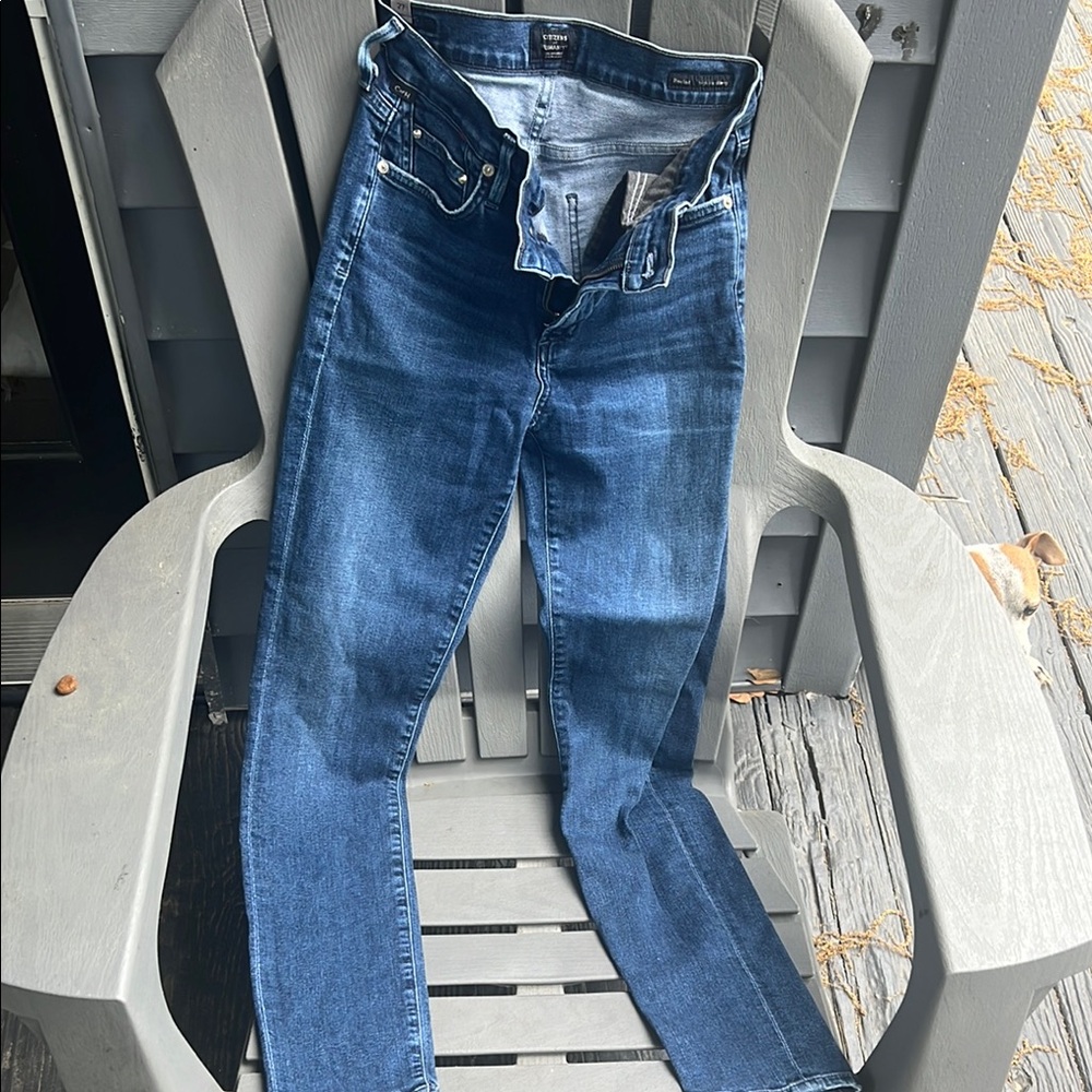 Citizens of Humanity